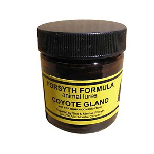 Forsyth Coyote Gland (50 ml)