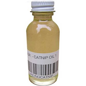 Catnip Oil (1 oz.)