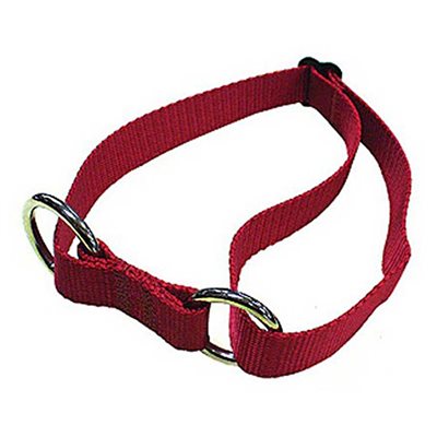 Adjustable Sled Dog Collar (Large)