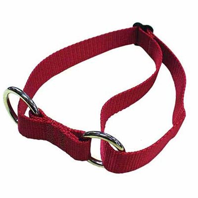 Adjustable Sled Dog Collar (Medium)