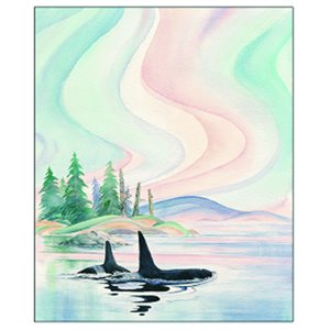 Velvet Plush Throw Blanket - Whale Song
