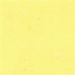 Broad Cloth - Citrus (Per Meter)