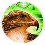 CAB68 - 1", Brown Eagle Face