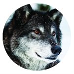 CAB75 - 1", Wolf Face - Style 3