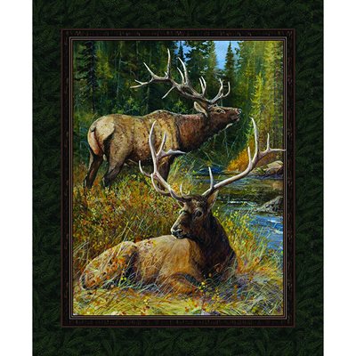 Wild Wings - Lazy Afternoon Wall Hanging