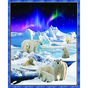 Polar Bears And Lights
