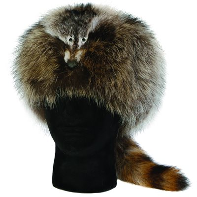 Fur Hat - Raccoon Davey Crocket Style - XL
