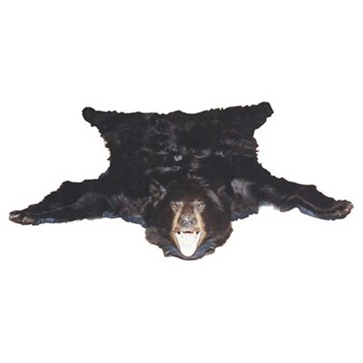 Black Bear Rug, How Much Does A Bear Skin Rug Cost