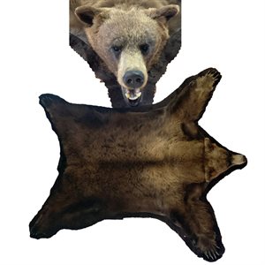 Brown Bear Rug