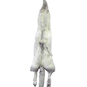 Timber Wolf Fur - Arctic 