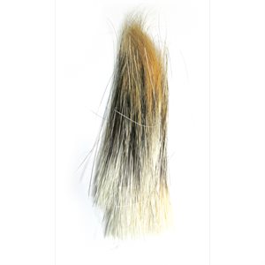 Porcupine Hair (6' - 8" Long)