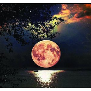 Cross Stitch Kit - Moon By The Sea