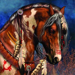 Diamond Painting Kit 30 x 40 - Cherokee Na Horse