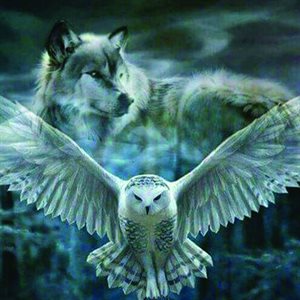 Diamond Painting Kit 30 x 40 - Wolf Owl