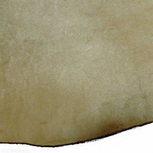 Carving Tooling Leather Double Shoulder (7/8 oz.)
