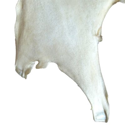Rawhide - Goat (Small)