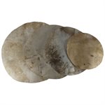 Elk Rawhide Rounds (Select Size)