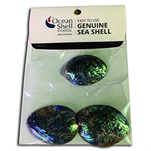 Paua Shell Collectables (3/Package)